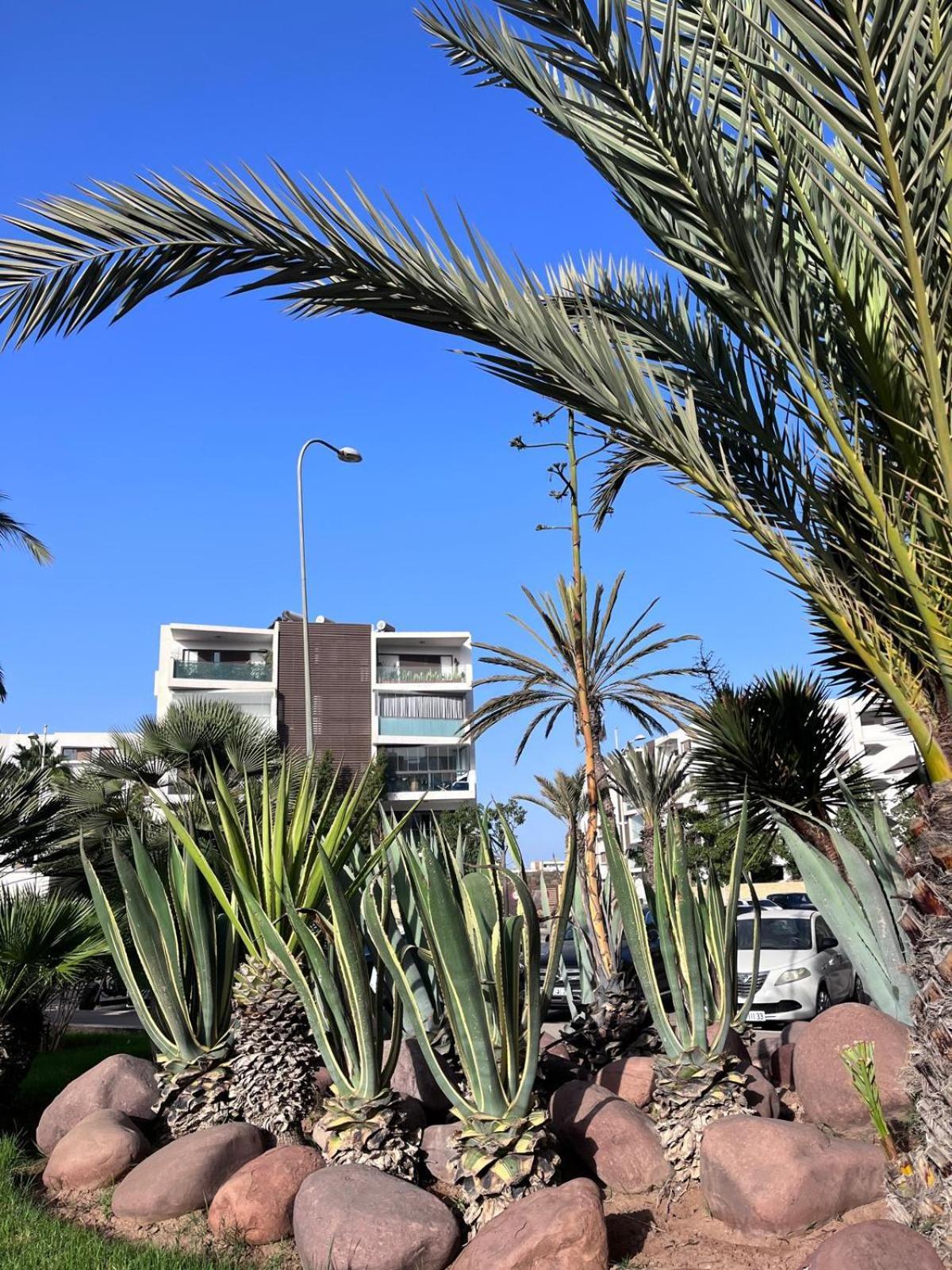 Appartement De Haut Standing En Residence Agadir Exterior photo